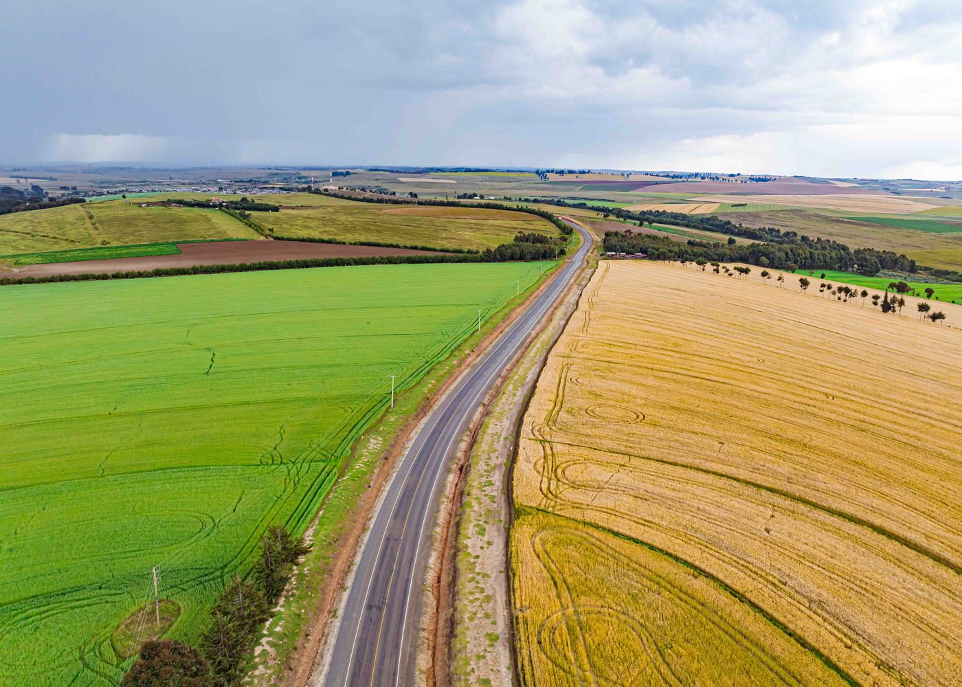 Aerial view of cultivated highland farmland near Mau Narok in Kenya's Rift Valley, a green crop and a harvested cereal field split by a tarmac road lined with power poles, the kind of terrain a pilot must judge for a forced landing.